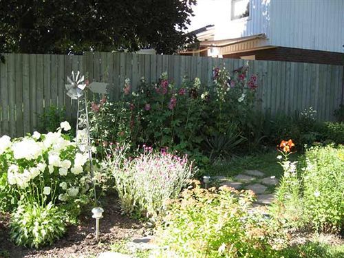 Twin Pines Bed And Breakfast Peterborough Exteriör bild
